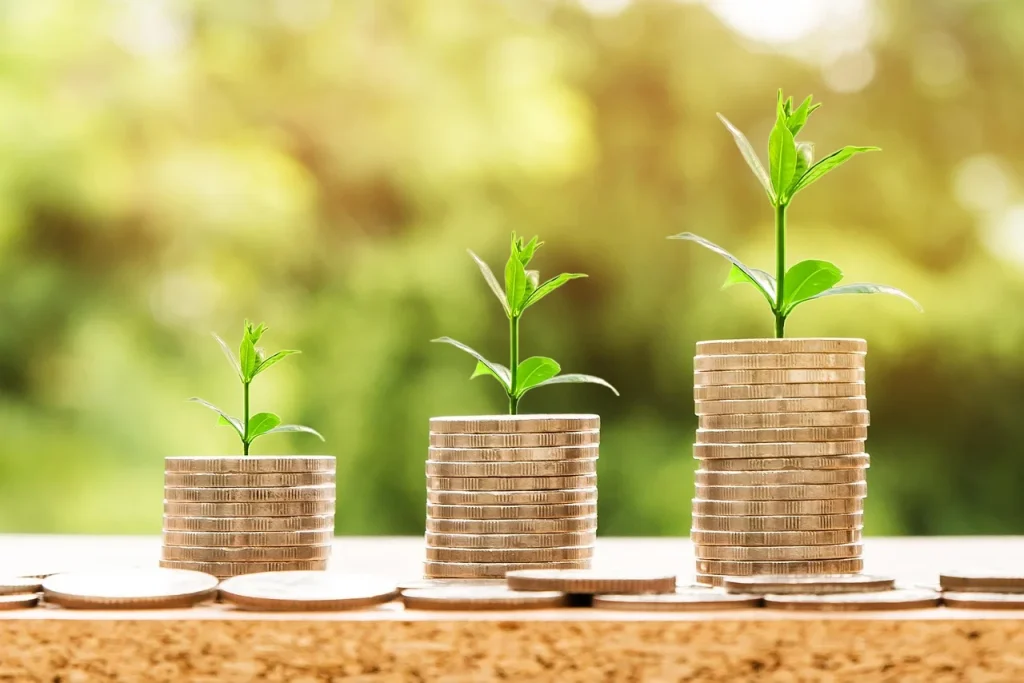 Business Analytics Roi Return Investment
